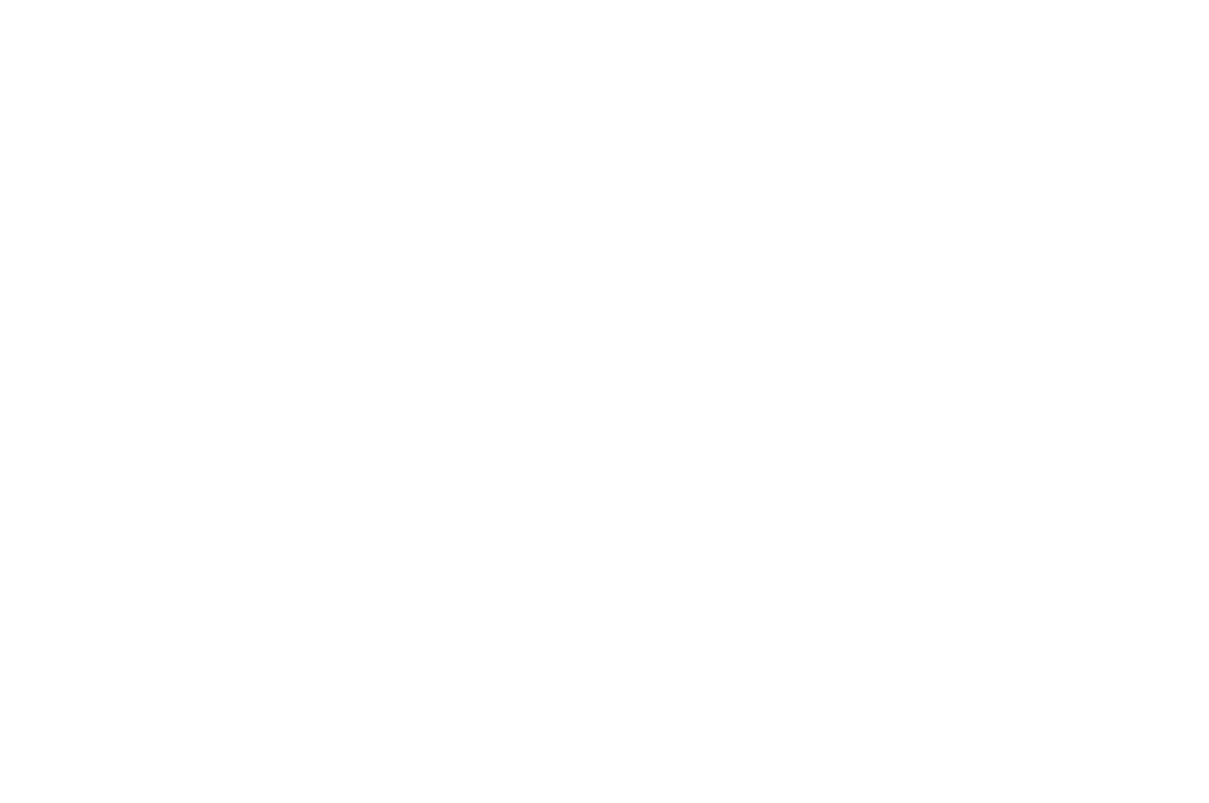 OFFICIAL SELECTION - Glendale International Film Festival - 2017